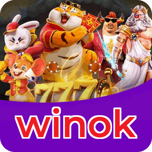 Métodos de pagamento aceitos na winok